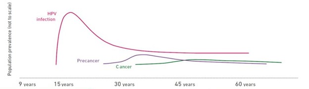 ریسک ابتلا به سرطان رحم در بیماران مبتلا به HPV